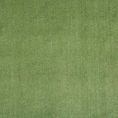 Duchess Velvet Peashoot by Lee Jofa Fabric