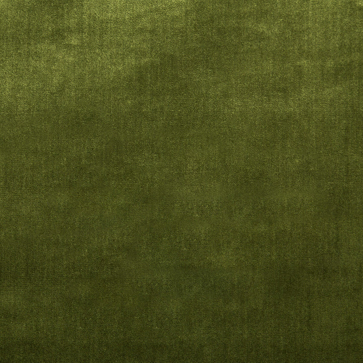 Duchess Velvet Olive by Lee Jofa Fabric - SILK - 51%;COTTON - 49% Italy MEDIUM Horizontal: 0 and Vertical: 0 55 - Fabric Carolina -