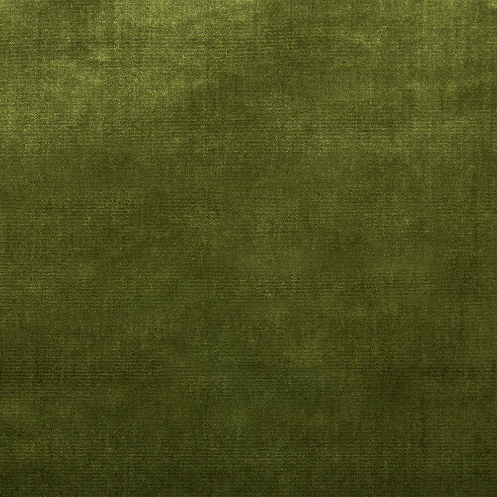 Duchess Velvet Olive by Lee Jofa Fabric - SILK - 51%;COTTON - 49% Italy MEDIUM Horizontal: 0 and Vertical: 0 55 - Fabric Carolina -