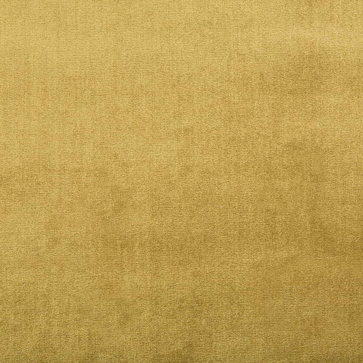 Duchess Velvet Oro by Lee Jofa Fabric - SILK - 51%;COTTON - 49% Italy MEDIUM Horizontal: 0 and Vertical: 0 55 - Fabric Carolina -