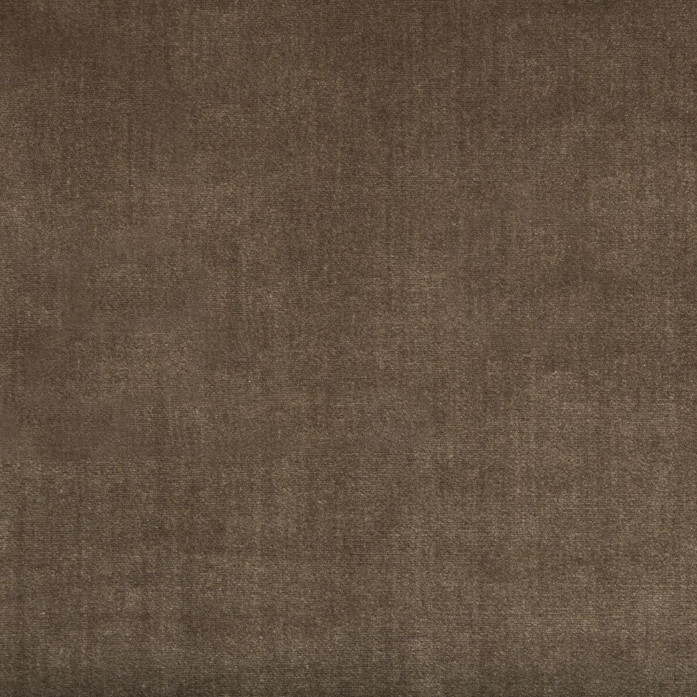 Duchess Velvet Mink by Lee Jofa Fabric SILK - 51%;COTTON - 49% Italy MEDIUM Horizontal: 0 and Vertical: 0 55 - Fabric Carolina -