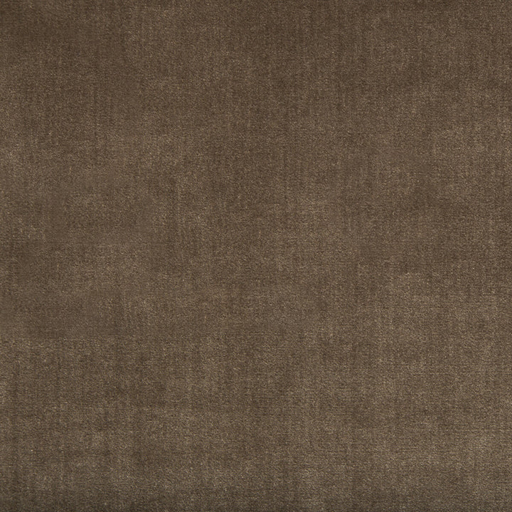 Duchess Velvet Mink by Lee Jofa Fabric SILK - 51%;COTTON - 49% Italy MEDIUM Horizontal: 0 and Vertical: 0 55 - Fabric Carolina -