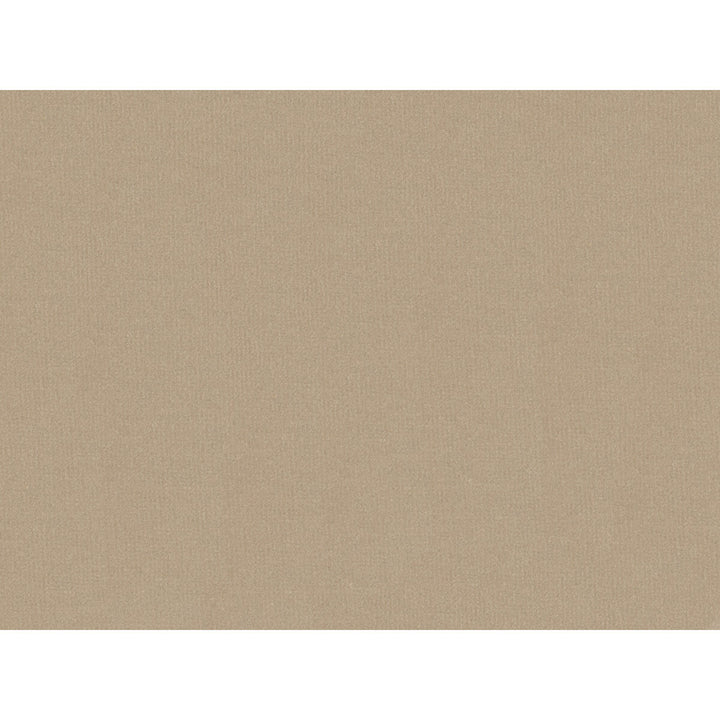 Oxford Velvet Sandstone by Lee Jofa Fabric COTTON - 100% Italy HEAVY Horizontal: and Vertical: 55 - Fabric Carolina -