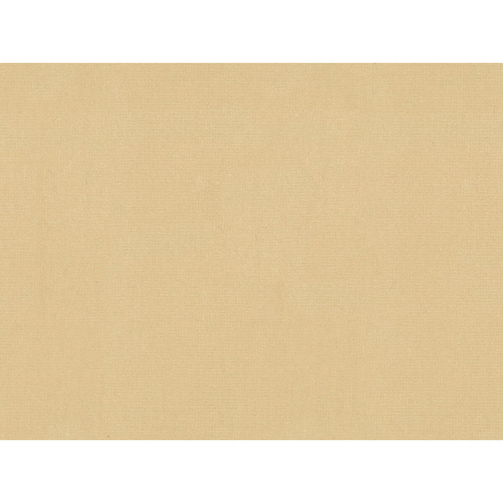 Oxford Velvet Cream by Lee Jofa Fabric COTTON - 100% Italy HEAVY Horizontal: and Vertical: 55 - Fabric Carolina -