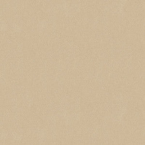 Oxford Velvet Sand by Lee Jofa Fabric