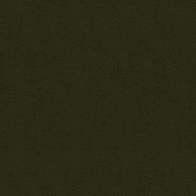 Oxford Velvet Forest by Lee Jofa Fabric