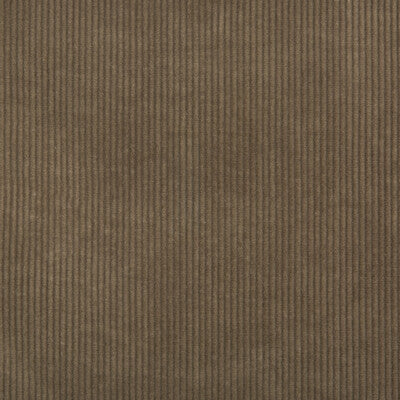 2017121.6.0 by Lee Jofa Fabric Lee Jofa Fabric 2017121.6.0Fabric COTTON - 100% Italy </p><p>Repeat: H: 0, V: 0 53 - Fabric Carolina -