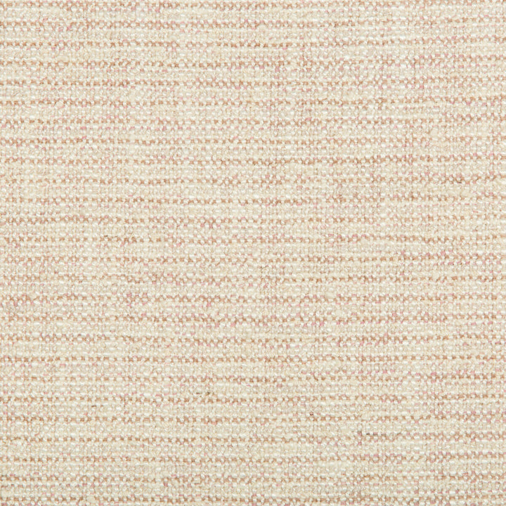 Varona Petal by Lee Jofa Fabric WESTPORT VISCOSE - 51%;COTTON - 24%;LINEN - 17%;POLYAMIDE - 4%;POLYACRYLIC - 3%;POLYESTER - 1% Belgium HEAVY Horizontal: 0 and Vertical: 0 53.04028 - Fabric Carolina -
