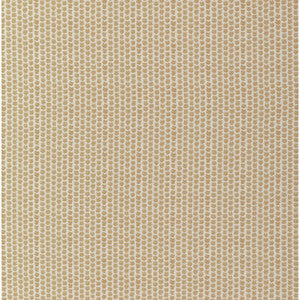 Kaya Ii Wheat 2017224.116.0 by Lee Jofa Fabric
