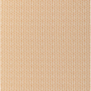 Kaya Ii Spice 2017224.12.0 by Lee Jofa Fabric