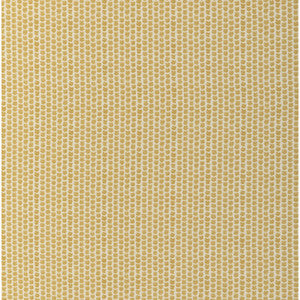 Kaya Ii Maize 2017224.40.0 by Lee Jofa Fabric