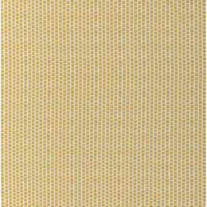 Kaya Ii Maize 2017224.40.0 by Lee Jofa Fabric