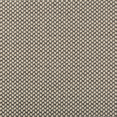 Alturas Charcoal by Lee Jofa Fabric
