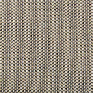 Alturas Charcoal by Lee Jofa Fabric