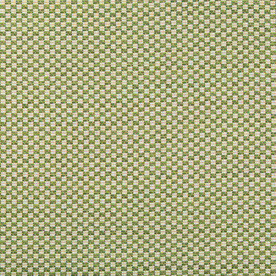 Alturas Leaf by Lee Jofa Fabric