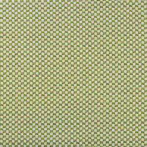 Alturas Leaf by Lee Jofa Fabric