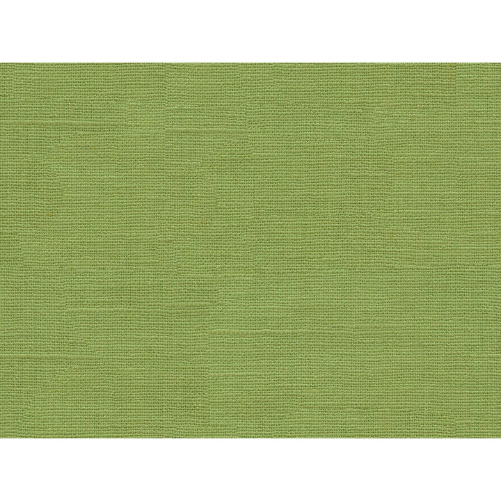Hixson Linen Palm by Lee Jofa Fabric Lee Jofa Fabric Hixson Linen PalmFabric PERFORMANCE KRAVETARMOR LINEN - 59%;COTTON - 41% China </p><p>Repeat: H: , V: 54 - Fabric Carolina -