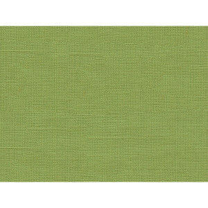 Hixson Linen Palm by Lee Jofa Fabric