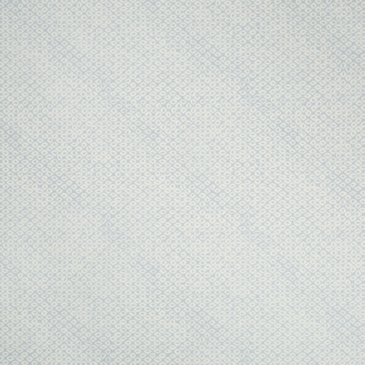 Marie Print Sky by Lee Jofa Fabric SUZANNE KASLER THE RIVIERA COLLECTION COTTON - 54%;LINEN - 46% India - Horizontal: 16.52 and Vertical: 16.13 55 - Fabric Carolina -