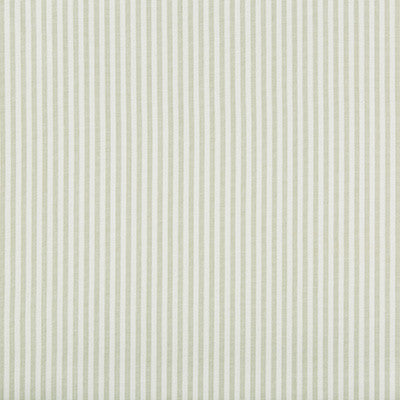 Cap Ferrat Stripe Leaf by Lee Jofa Fabric