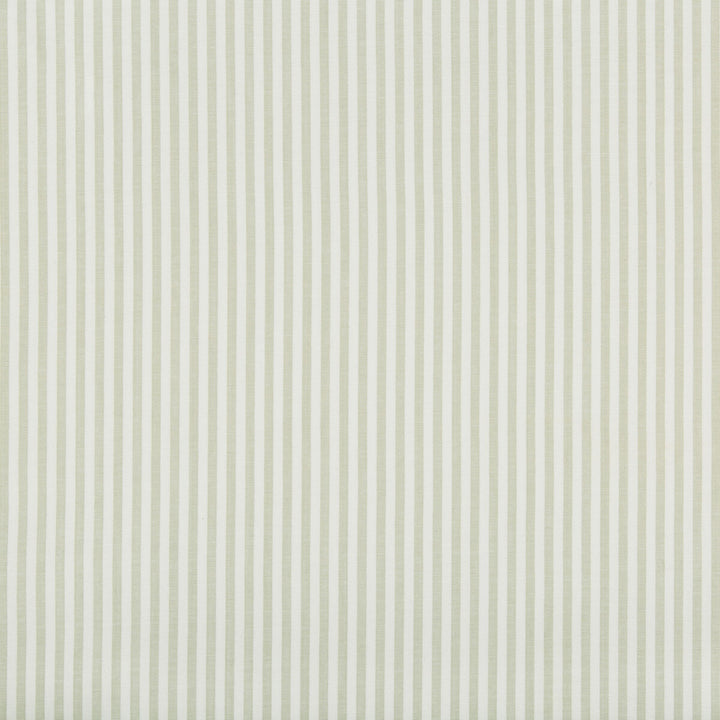 Cap Ferrat Stripe Leaf by Lee Jofa Fabric SUZANNE KASLER THE RIVIERA COLLECTION COTTON - 100% India Horizontal: 0.32 and Vertical: 0 53 - Fabric Carolina -