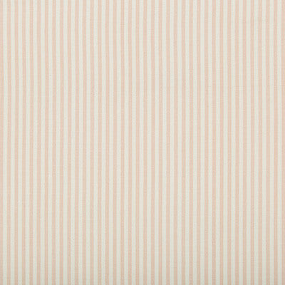 Cap Ferrat Stripe Pink by Lee Jofa Fabric