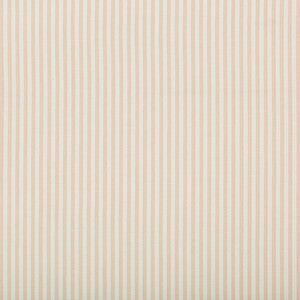 Cap Ferrat Stripe Pink by Lee Jofa Fabric