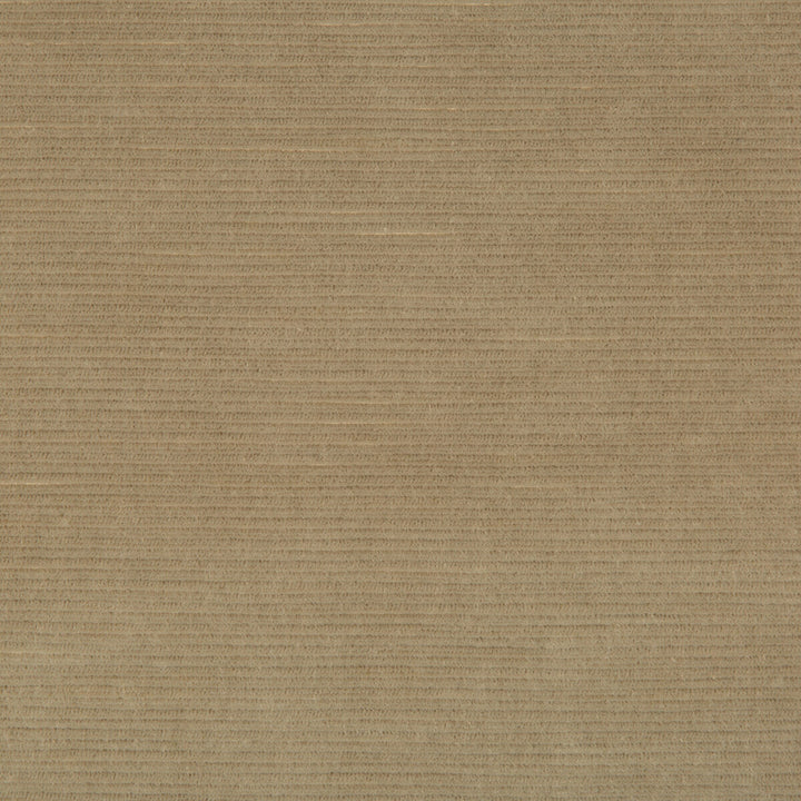 Gemma Velvet Stone by Lee Jofa Fabric GEMMA PERFORMANCE VELVET POLYESTER - 100% Italy HEAVY Horizontal: 0 and Vertical: 0 55 - Fabric Carolina -