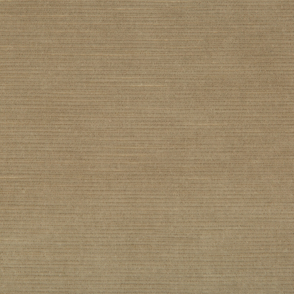 Gemma Velvet Stone by Lee Jofa Fabric GEMMA PERFORMANCE VELVET POLYESTER - 100% Italy HEAVY Horizontal: 0 and Vertical: 0 55 - Fabric Carolina -