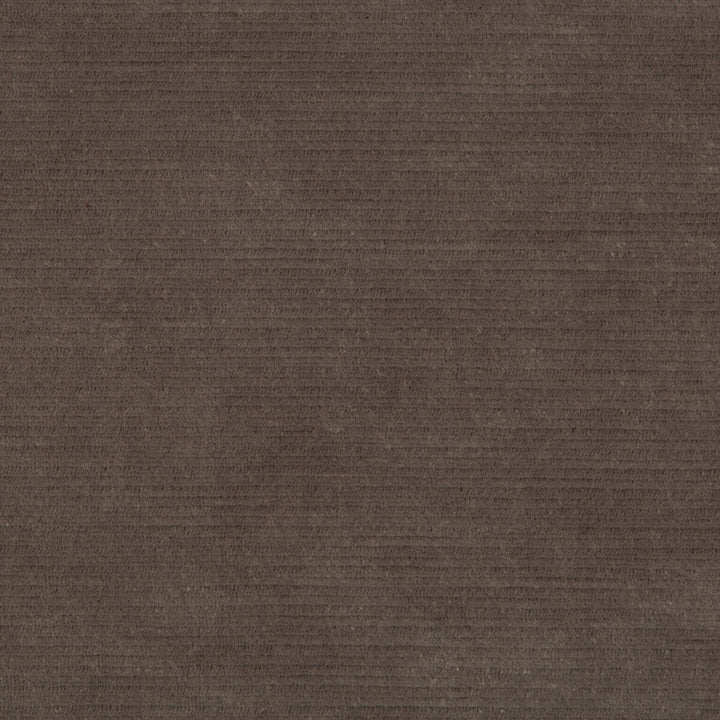 Gemma Velvet Smoke by Lee Jofa Fabric GEMMA PERFORMANCE VELVET POLYESTER - 100% Italy HEAVY Horizontal: 0 and Vertical: 0 55 - Fabric Carolina -