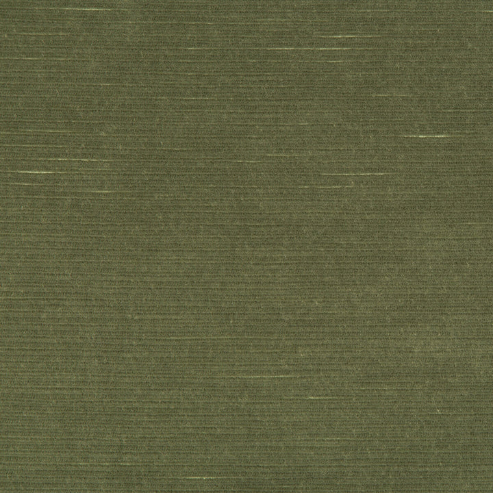Gemma Velvet Sage by Lee Jofa Fabric GEMMA PERFORMANCE VELVET POLYESTER - 100% Italy HEAVY Horizontal: 0 and Vertical: 0 55 - Fabric Carolina -