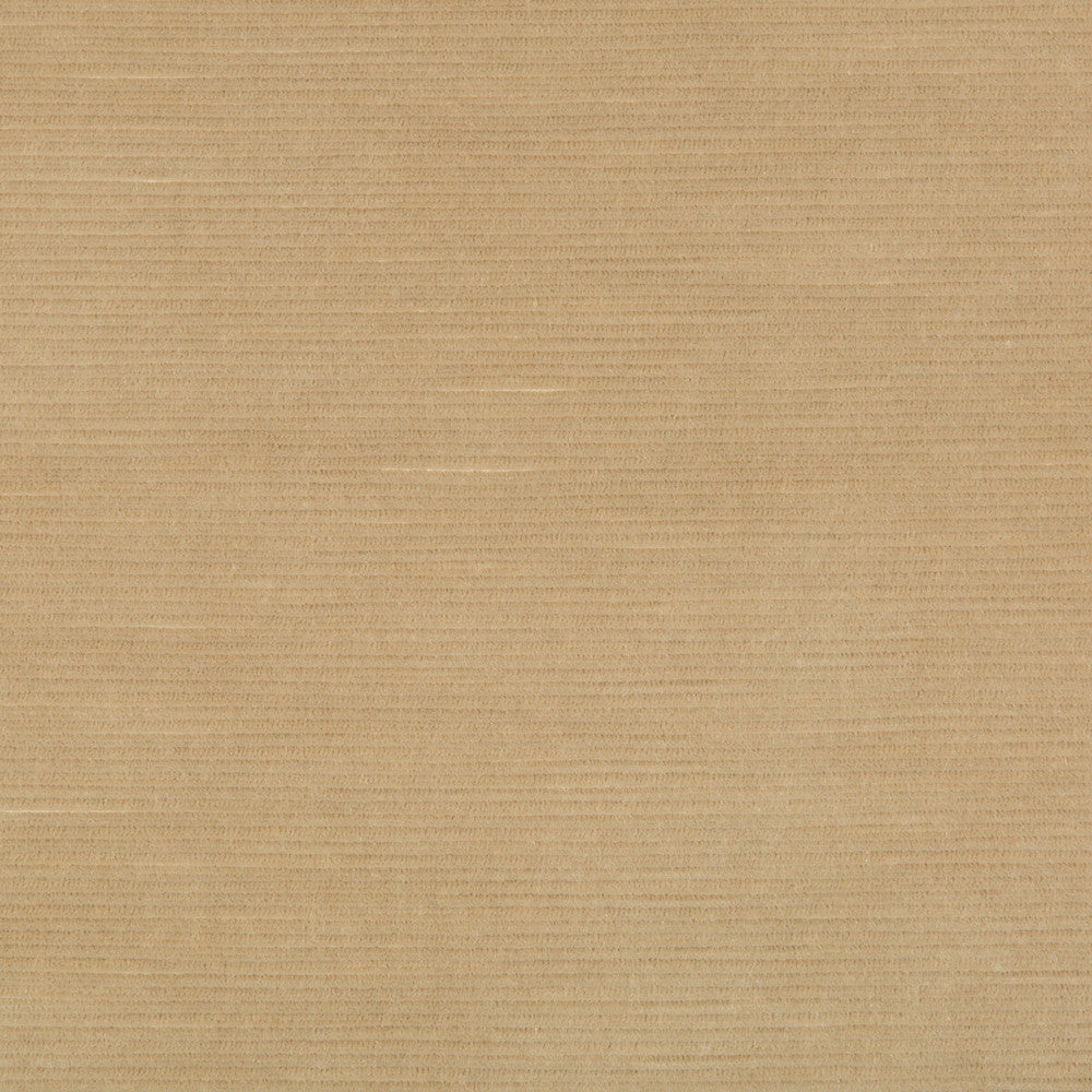 Gemma Velvet Sand by Lee Jofa Fabric GEMMA PERFORMANCE VELVET POLYESTER - 100% Italy HEAVY Horizontal: 0 and Vertical: 0 55 - Fabric Carolina -