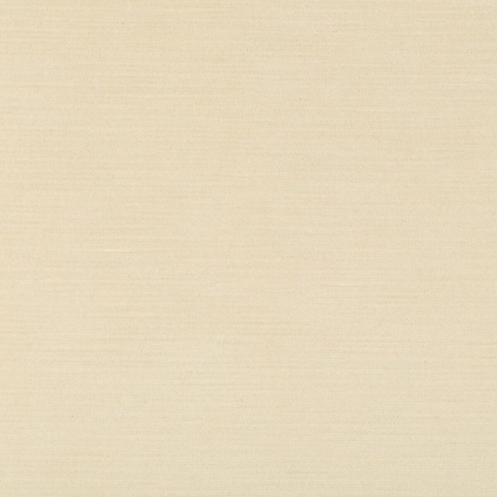 Gemma Velvet Oyster by Lee Jofa Fabric GEMMA PERFORMANCE VELVET POLYESTER - 100% Italy HEAVY Horizontal: 0 and Vertical: 0 55 - Fabric Carolina -