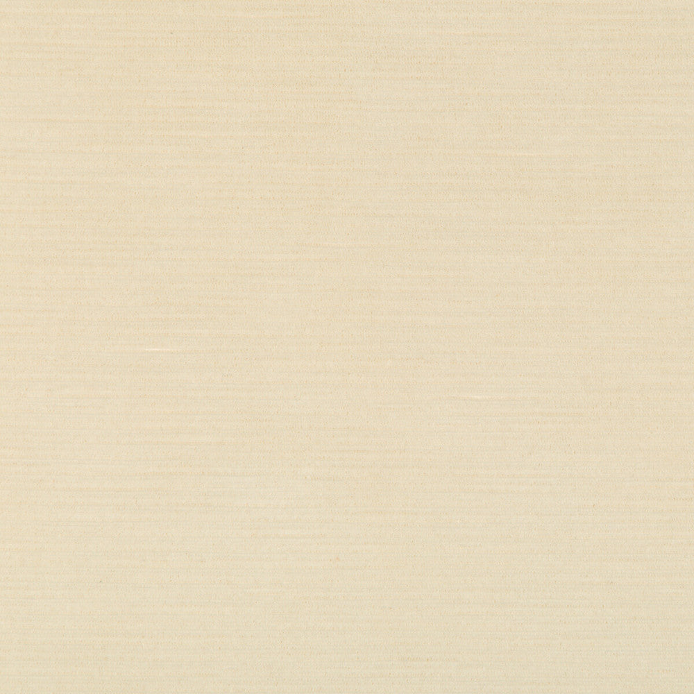 Gemma Velvet Oyster by Lee Jofa Fabric GEMMA PERFORMANCE VELVET POLYESTER - 100% Italy HEAVY Horizontal: 0 and Vertical: 0 55 - Fabric Carolina -