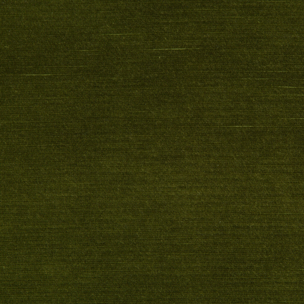 Gemma Velvet Moss by Lee Jofa Fabric GEMMA PERFORMANCE VELVET POLYESTER - 100% Italy HEAVY Horizontal: 0 and Vertical: 0 55 - Fabric Carolina -