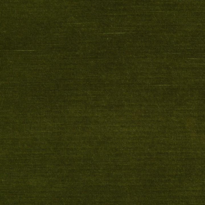 Gemma Velvet Moss by Lee Jofa Fabric Lee Jofa Fabric Gemma Velvet MossFabric GEMMA PERFORMANCE VELVET POLYESTER - 100% Italy </p><p>Repeat: H: 0, V: 0 55 - Fabric Carolina -