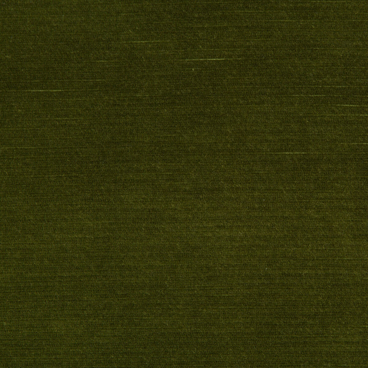 Gemma Velvet Moss by Lee Jofa Fabric GEMMA PERFORMANCE VELVET POLYESTER - 100% Italy HEAVY Horizontal: 0 and Vertical: 0 55 - Fabric Carolina -