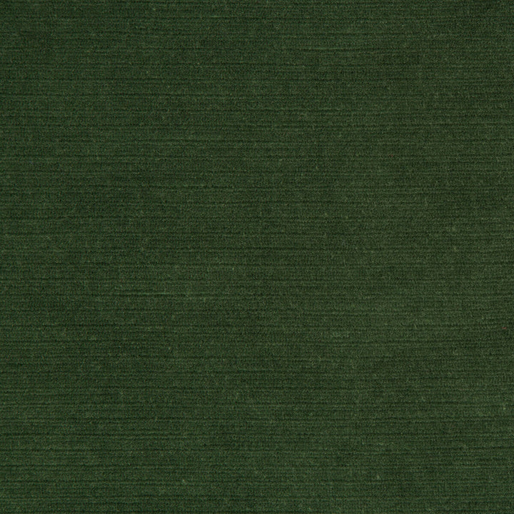 Gemma Velvet Lichen by Lee Jofa Fabric Lee Jofa Fabric Gemma Velvet LichenFabric GEMMA PERFORMANCE VELVET POLYESTER - 100% Italy </p><p>Repeat: H: 0, V: 0 55 - Fabric Carolina -