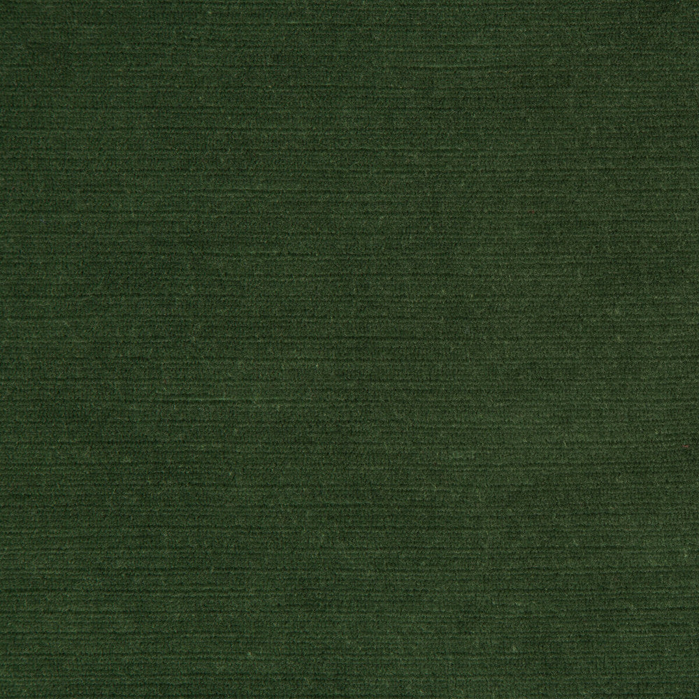 Gemma Velvet Lichen by Lee Jofa Fabric GEMMA PERFORMANCE VELVET POLYESTER - 100% Italy HEAVY Horizontal: 0 and Vertical: 0 55 - Fabric Carolina -