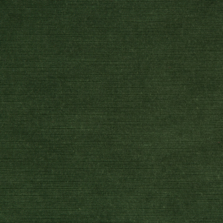 Gemma Velvet Lichen by Lee Jofa Fabric Lee Jofa Fabric Gemma Velvet LichenFabric GEMMA PERFORMANCE VELVET POLYESTER - 100% Italy </p><p>Repeat: H: 0, V: 0 55 - Fabric Carolina -