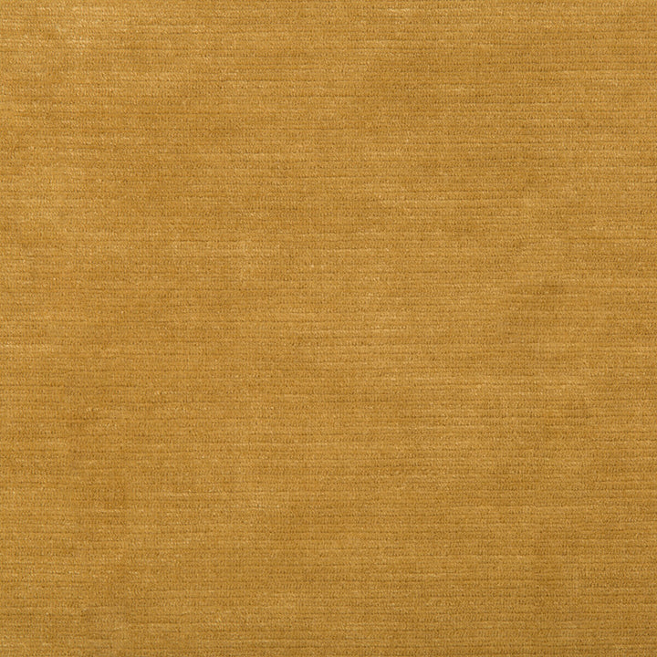 Gemma Velvet Antique Gold by Lee Jofa Fabric GEMMA PERFORMANCE VELVET POLYESTER - 100% Italy HEAVY Horizontal: 0 and Vertical: 0 55 - Fabric Carolina -