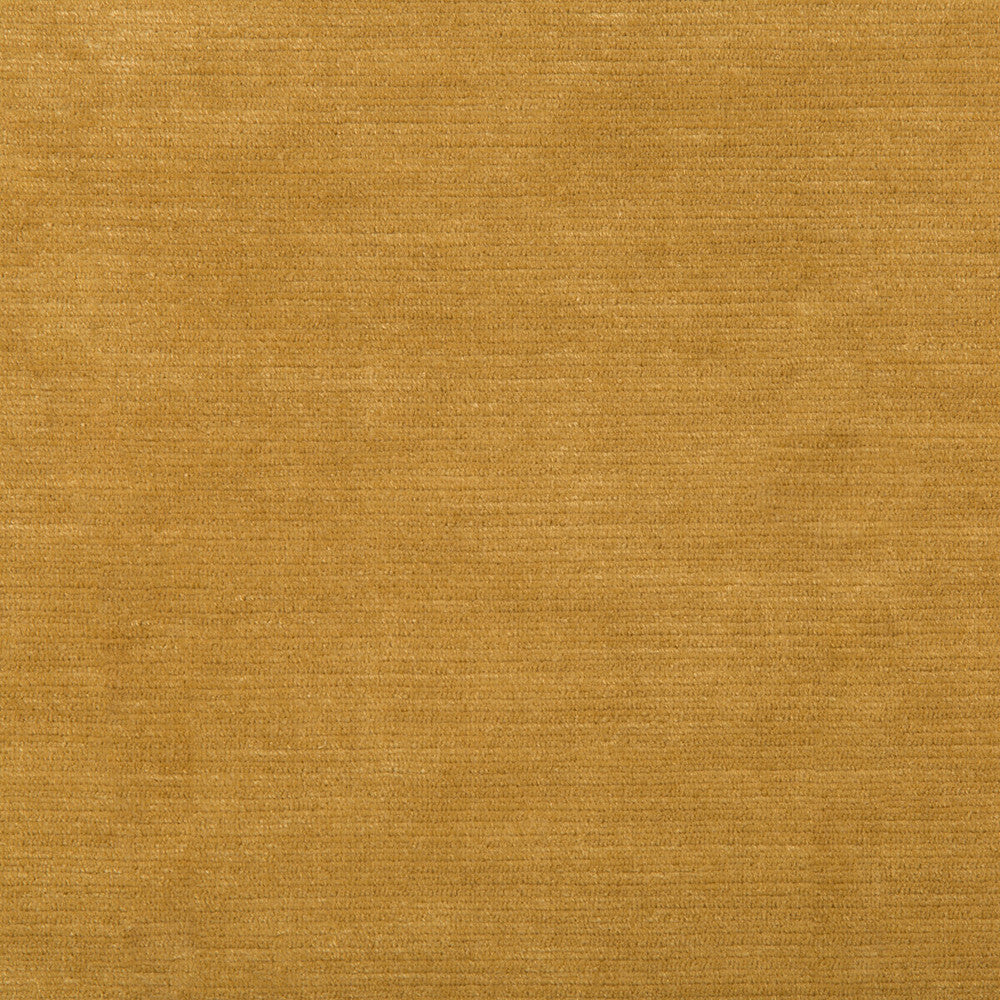 Gemma Velvet Antique Gold by Lee Jofa Fabric GEMMA PERFORMANCE VELVET POLYESTER - 100% Italy HEAVY Horizontal: 0 and Vertical: 0 55 - Fabric Carolina -