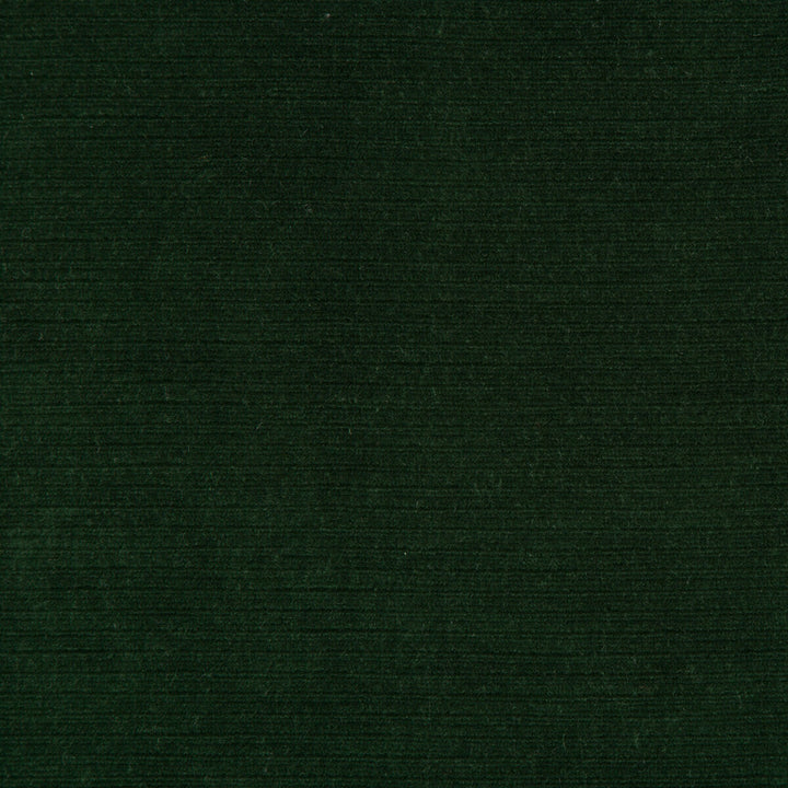 Gemma Velvet Emerald by Lee Jofa Fabric GEMMA PERFORMANCE VELVET POLYESTER - 100% Italy HEAVY Horizontal: 0 and Vertical: 0 55 - Fabric Carolina -