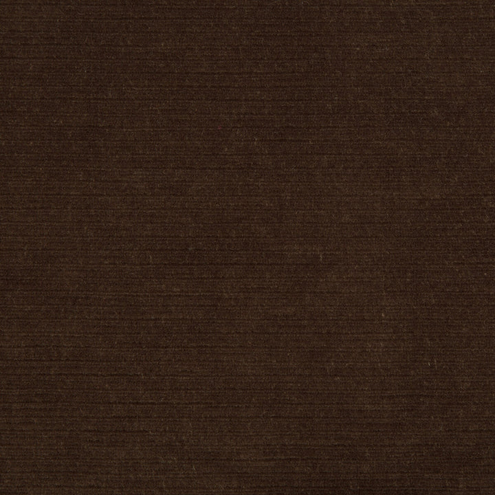 Gemma Velvet Cocoa by Lee Jofa Fabric GEMMA PERFORMANCE VELVET POLYESTER - 100% Italy HEAVY Horizontal: 0 and Vertical: 0 55 - Fabric Carolina -
