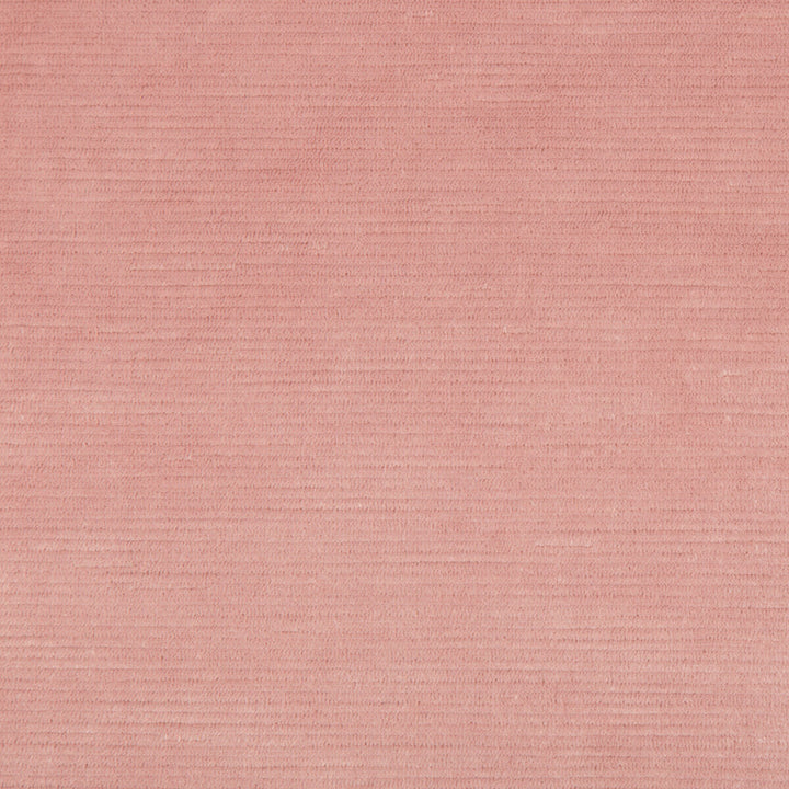Gemma Velvet Petal by Lee Jofa Fabric GEMMA PERFORMANCE VELVET POLYESTER - 100% Italy HEAVY Horizontal: 0 and Vertical: 0 55 - Fabric Carolina -