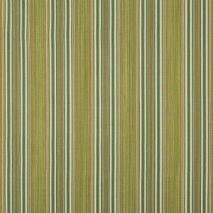 Vyne Stripe Greenery by Lee Jofa Fabric