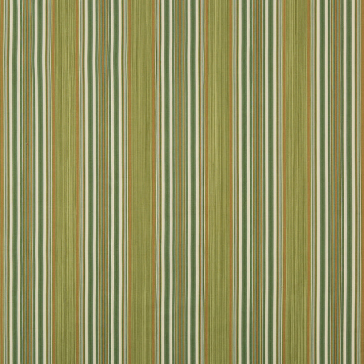 Vyne Stripe Greenery by Lee Jofa Fabric MANOR HOUSE COTTON - 100% India LIGHT Horizontal: 4.52 and Vertical: 0 54.3 - Fabric Carolina -