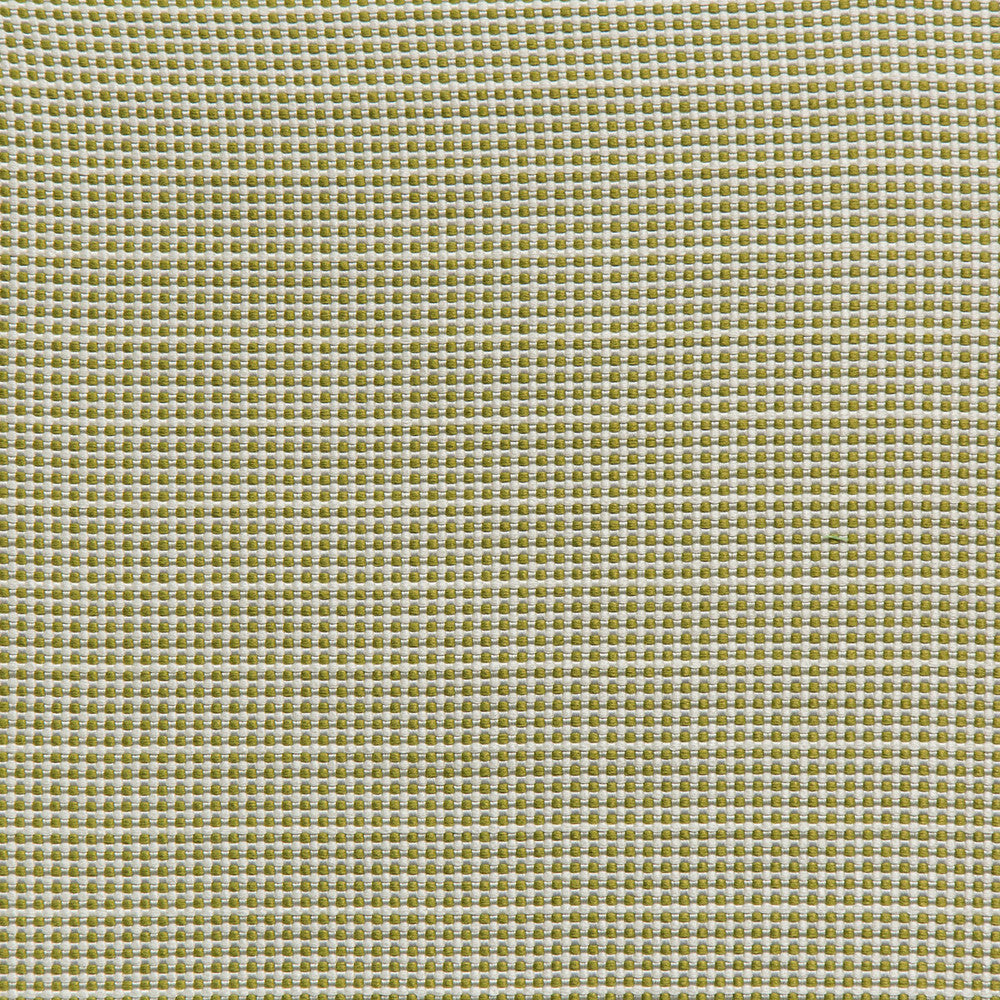 Portique Palm Green by Lee Jofa Fabric THOMAS O'BRIEN INDOOR OUTDOOR SOLUTION DYED ACRYLIC - 100% Belgium HEAVY Horizontal: 0.24 and Vertical: 1 53.54 - Fabric Carolina -