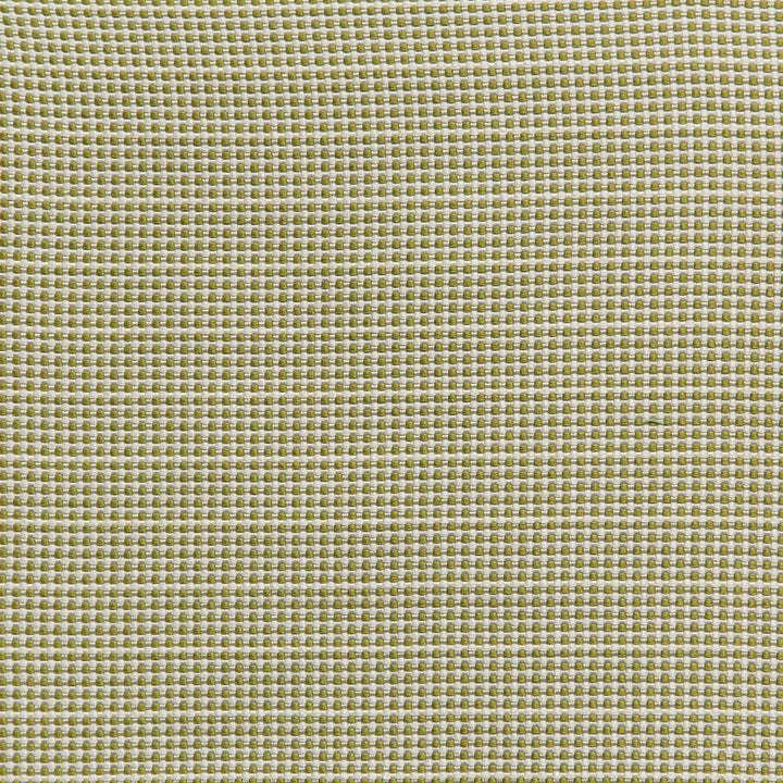 Portique Palm Green by Lee Jofa Fabric Lee Jofa Fabric Portique Palm GreenFabric THOMAS O'BRIEN INDOOR OUTDOOR SOLUTION DYED ACRYLIC - 100% Belgium </p><p>Repeat: H: 0.24, V: 1 53.54 - Fabric Carolina -