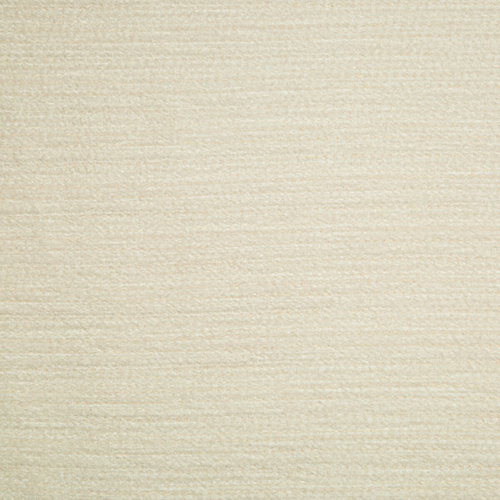 Piper Salt by Lee Jofa Fabric KW TERRA FIRMA III INDOOR OUTDOOR ACRYLIC - 90%;POLYESTER - 9%;OTHER - 1% United States HEAVY Horizontal: 1.95 and Vertical: 1.5 53.25 - Fabric Carolina -